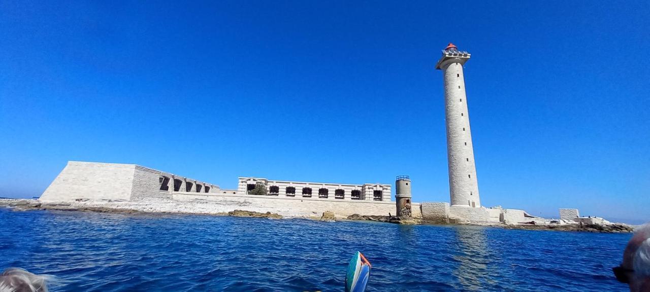 Maison jardin grande piscine , sortie bateau possible Marseille Extérieur photo